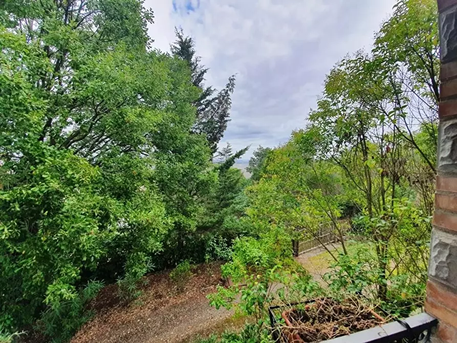 Immagine 3 di Villa in vendita  a Murlo