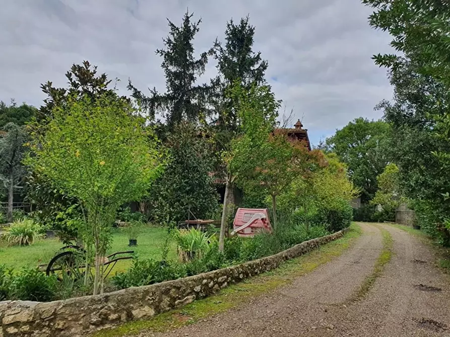 Immagine 13 di Villa in vendita  a Murlo