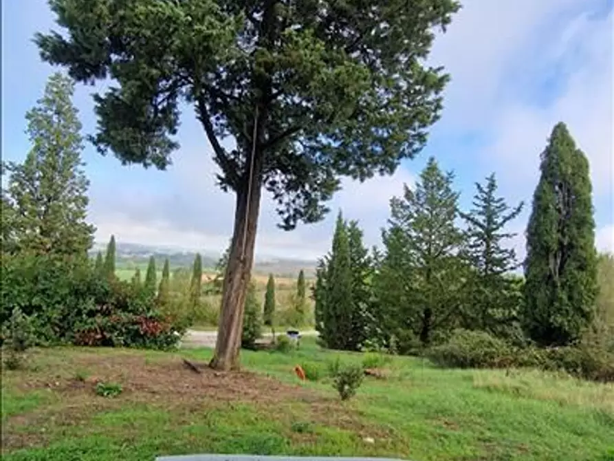 Immagine 4 di Appartamento in vendita  a Asciano