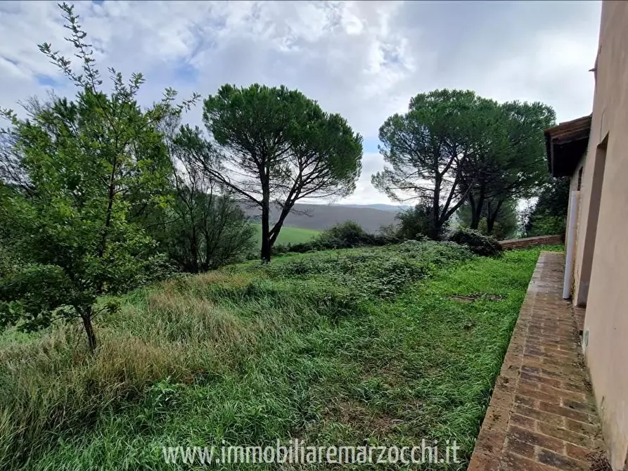 Immagine 5 di Appartamento in vendita  a Asciano