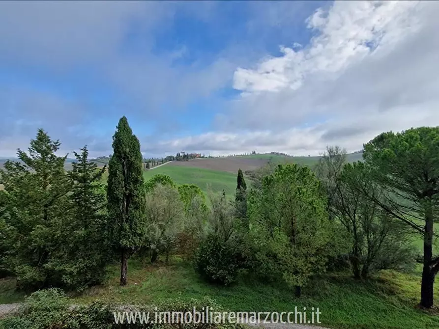 Immagine 11 di Appartamento in vendita  a Asciano