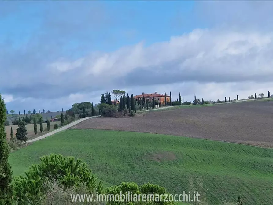 Immagine 12 di Appartamento in vendita  a Asciano