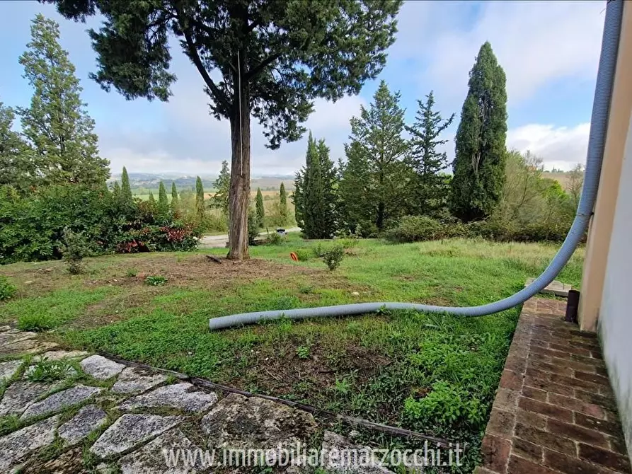 Immagine 3 di Appartamento in vendita  a Asciano