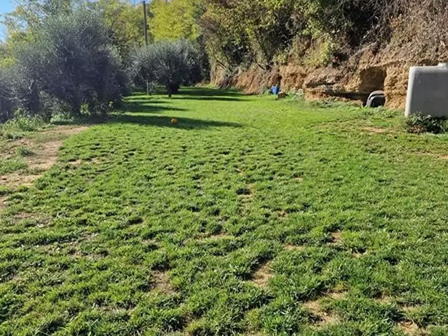 Immagine 13 di Appartamento in vendita  a Siena