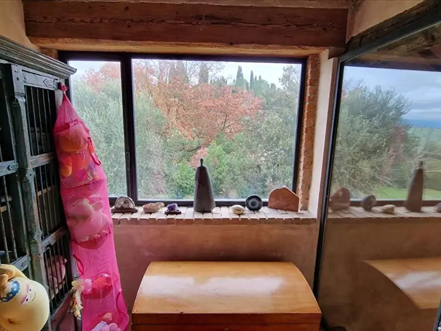 Immagine 31 di Villa in vendita  a Asciano