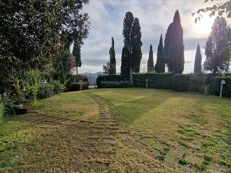 Immagine 3 di Villa in vendita  a Asciano