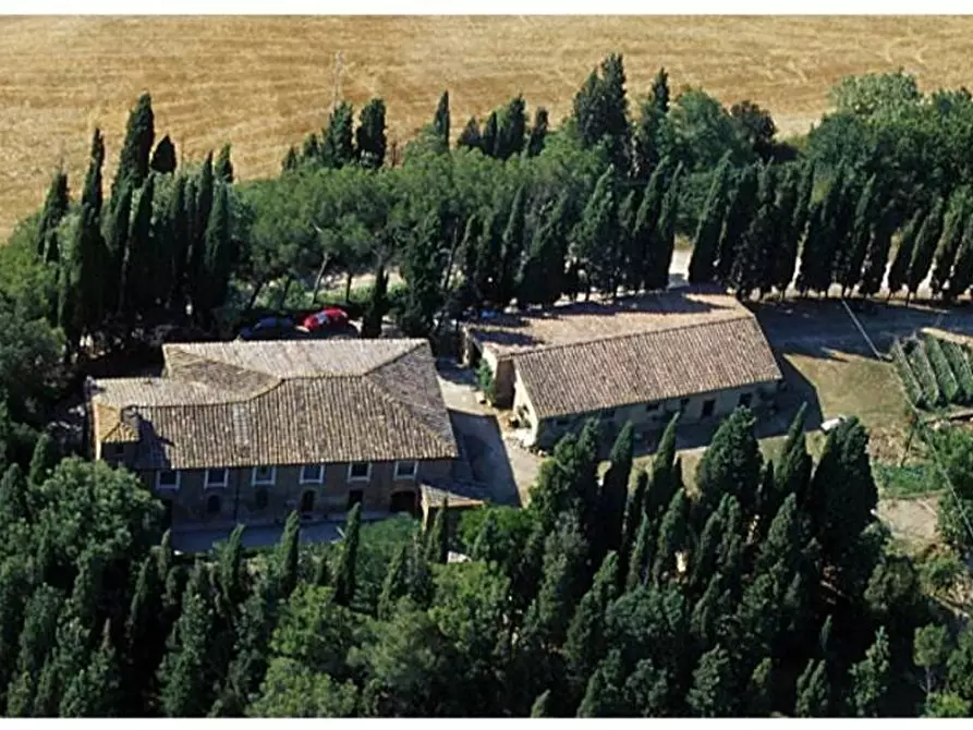 Immagine 24 di Villa in vendita  a Buonconvento