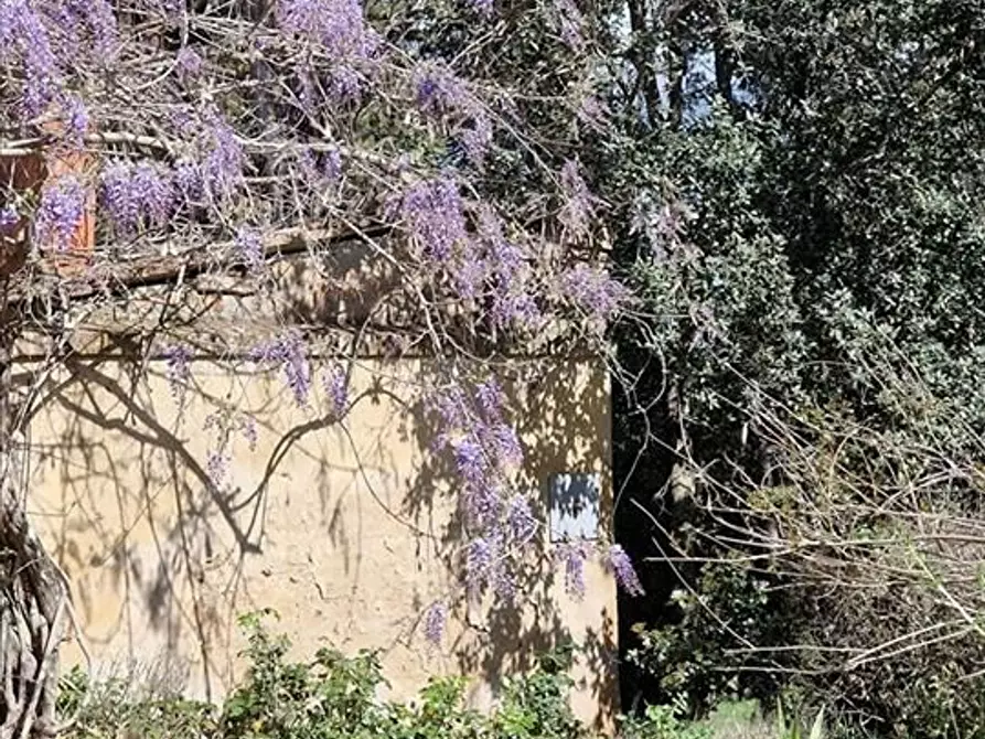 Immagine 16 di Villa in vendita  a Buonconvento