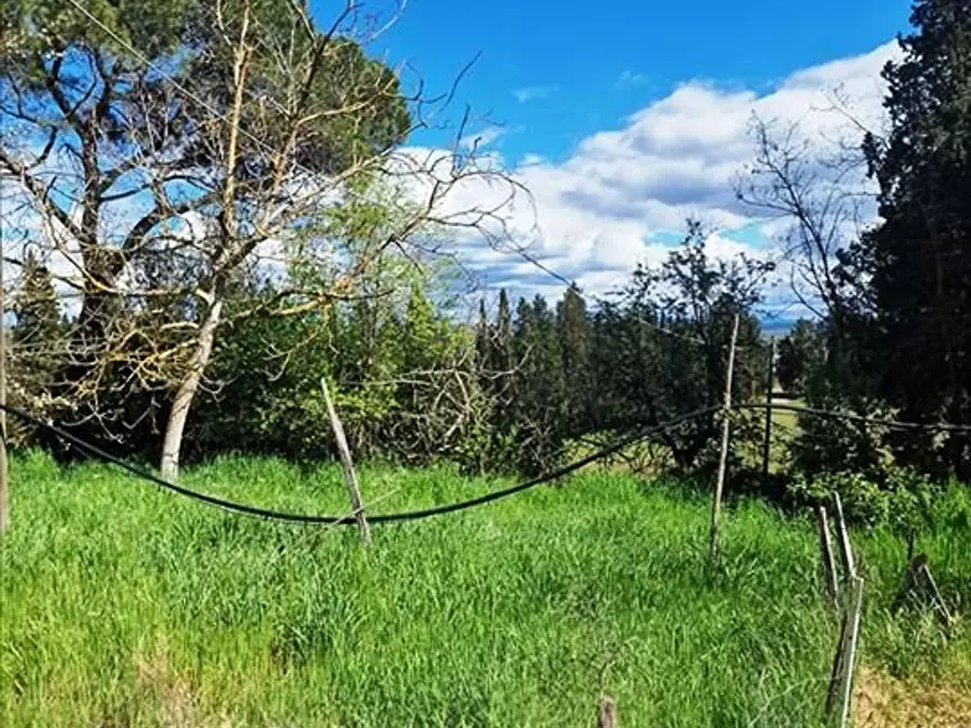 Immagine 23 di Villa in vendita  a Buonconvento