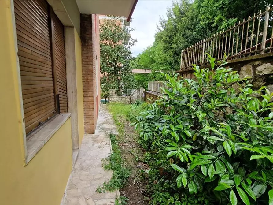 Immagine 14 di Appartamento in vendita  a Siena