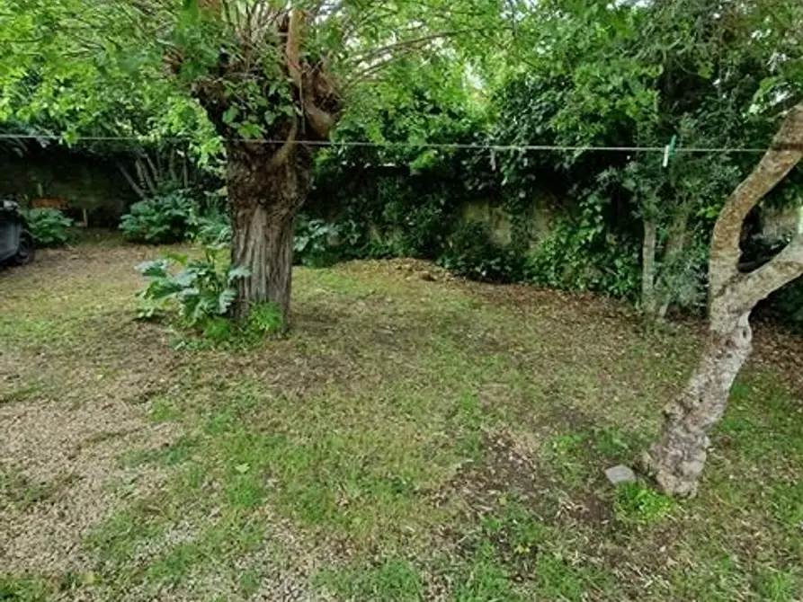 Immagine 19 di Appartamento in vendita  a Sovicille