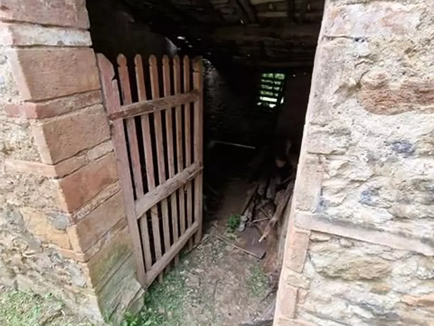 Immagine 15 di Appartamento in vendita  a Sovicille