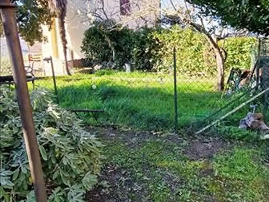 Immagine 11 di Appartamento in vendita  a Asciano