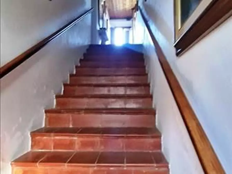 Immagine 4 di Appartamento in vendita  a Asciano