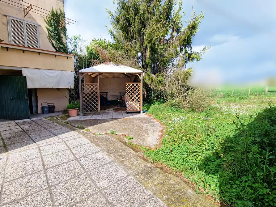 Immagine 5 di Casa indipendente in vendita  a Pisa