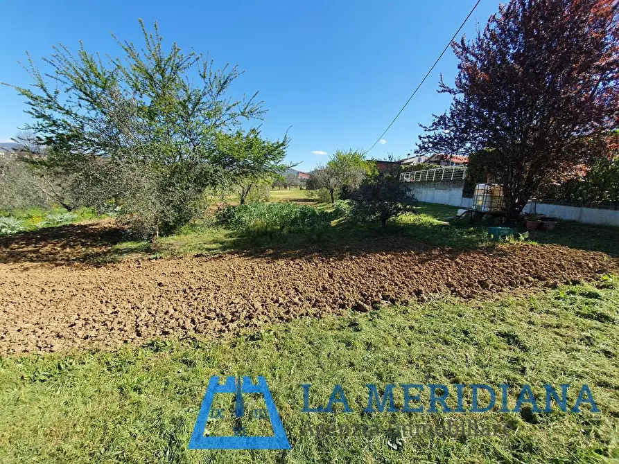 Immagine 17 di Terratetto in vendita  a Lamporecchio