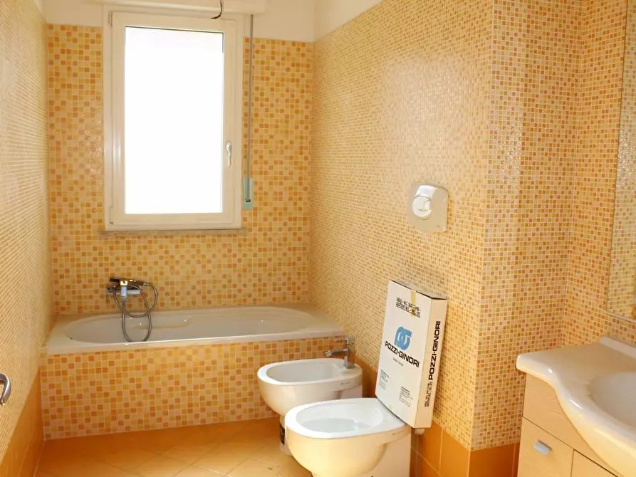 Immagine 6 di Appartamento in vendita  a Rosignano Marittimo