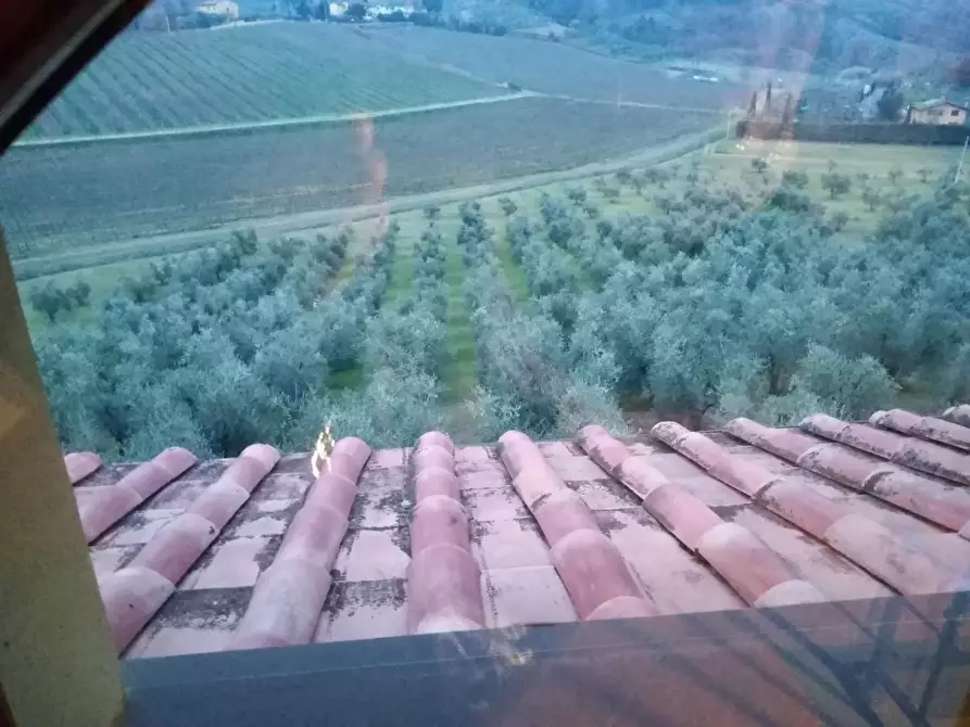 Immagine 30 di Villa in vendita  a San Miniato