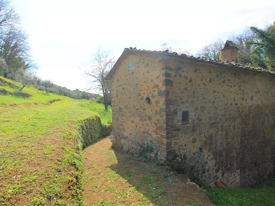 Immagine 21 di Casa colonica in vendita  a Lamporecchio