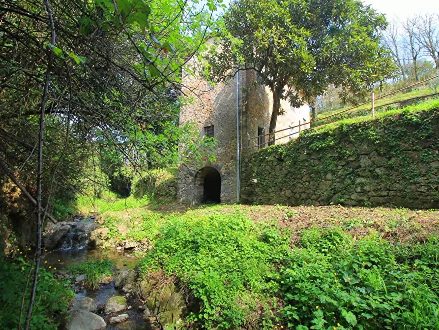 Immagine 5 di Casa colonica in vendita  a Lamporecchio