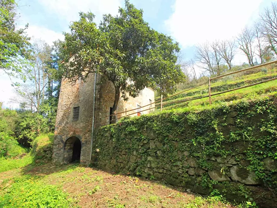 Immagine 24 di Casa colonica in vendita  a Lamporecchio