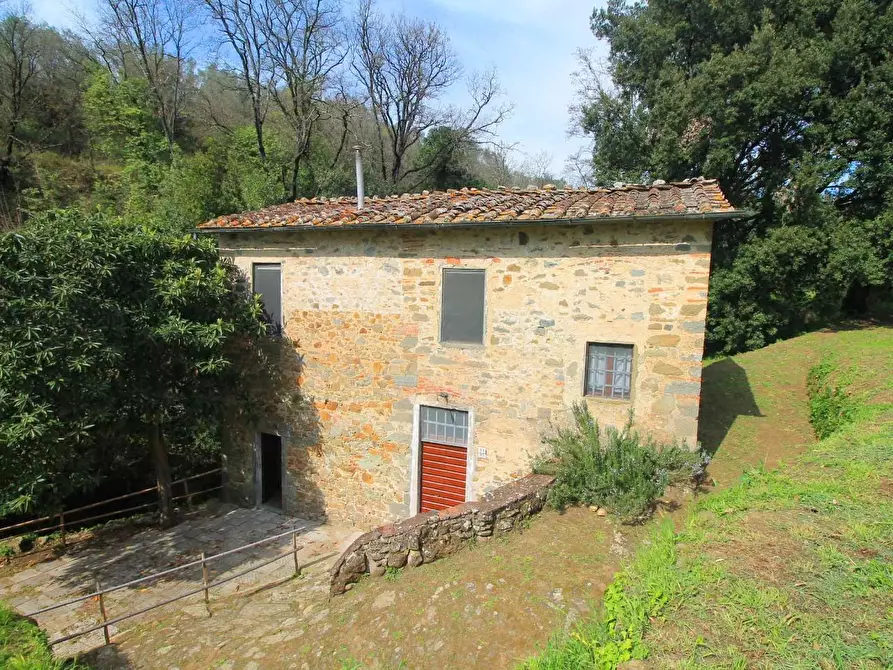 Immagine 3 di Casa colonica in vendita  a Lamporecchio