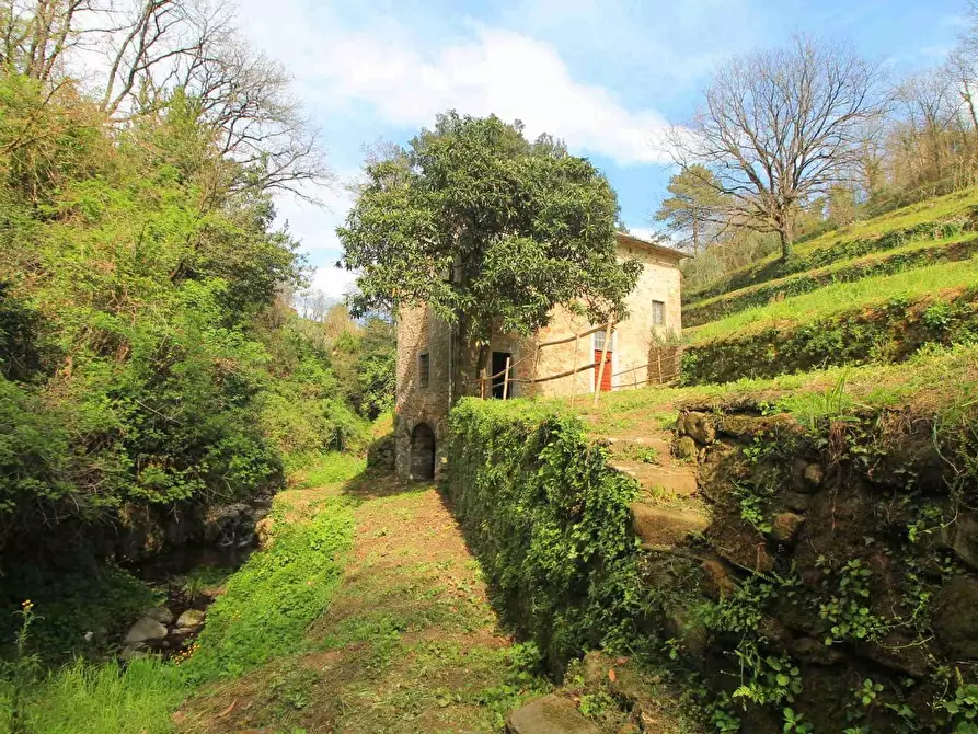 Immagine 26 di Casa colonica in vendita  a Lamporecchio
