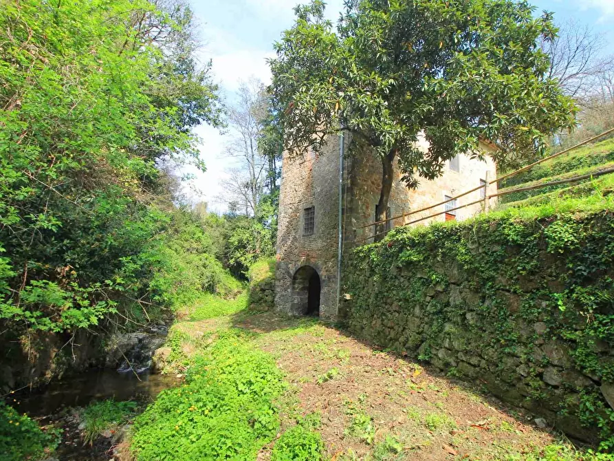 Immagine 25 di Casa colonica in vendita  a Lamporecchio