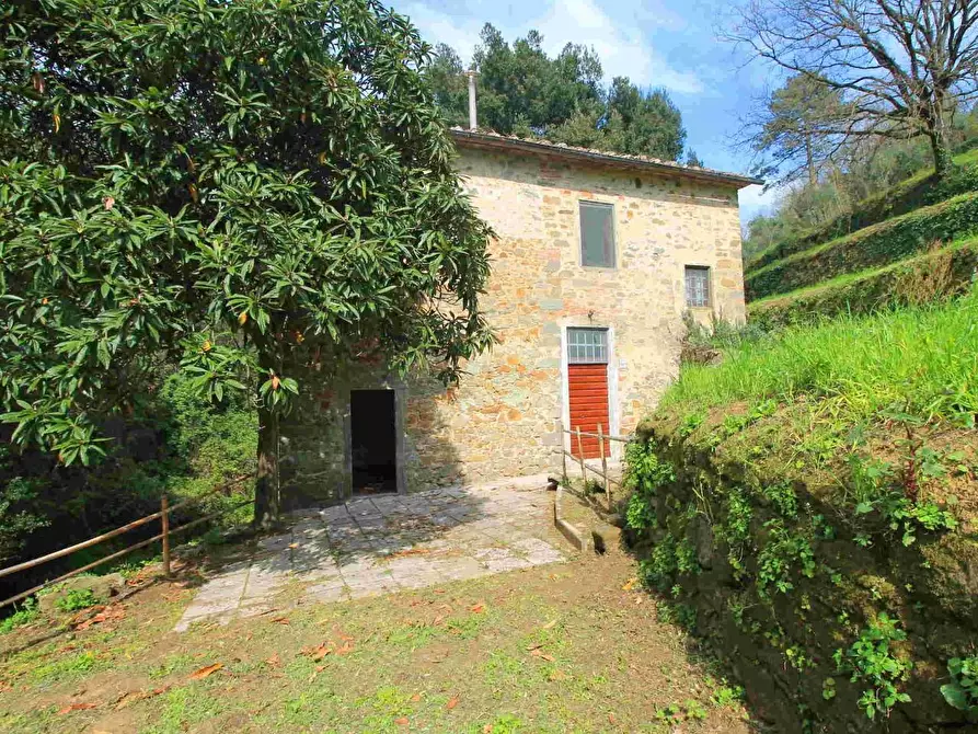 Immagine 18 di Casa colonica in vendita  a Lamporecchio