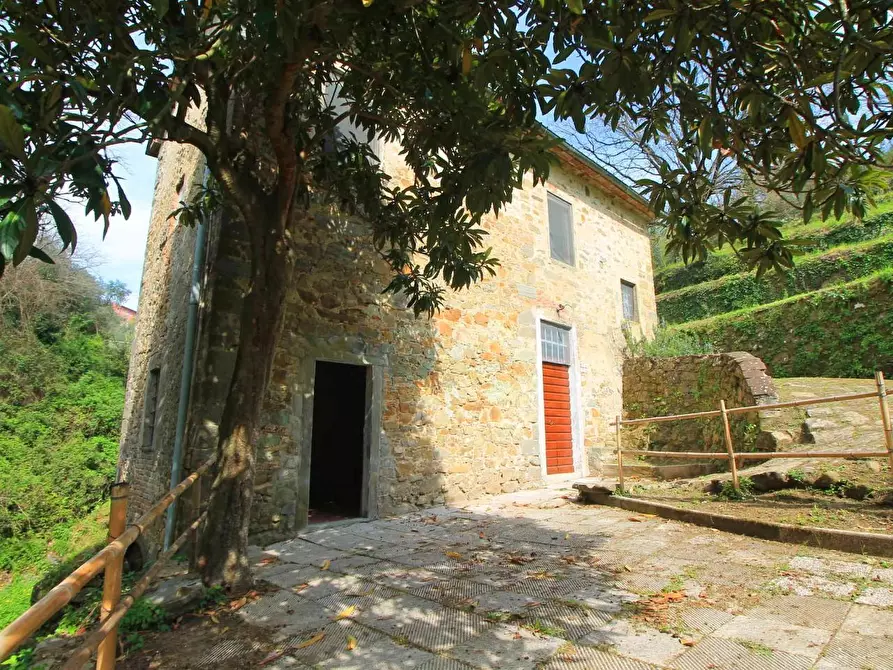 Immagine 2 di Casa colonica in vendita  a Lamporecchio