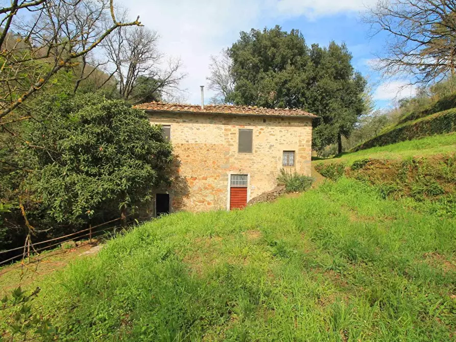 Immagine 4 di Casa colonica in vendita  a Lamporecchio