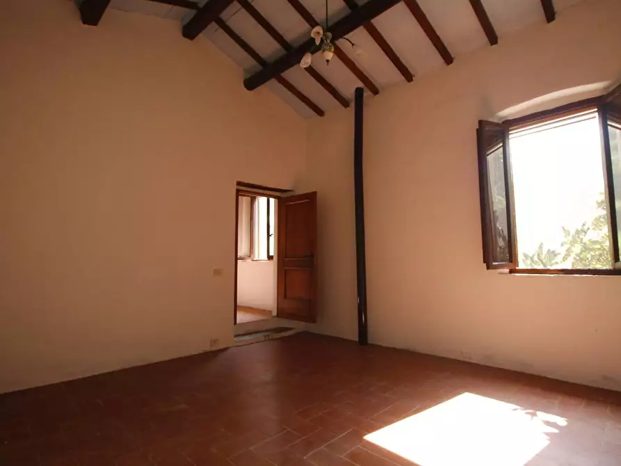 Immagine 8 di Casa colonica in vendita  a Lamporecchio