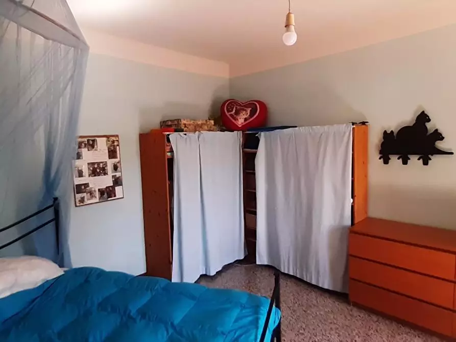 Immagine 10 di Terratetto in vendita  a Pisa