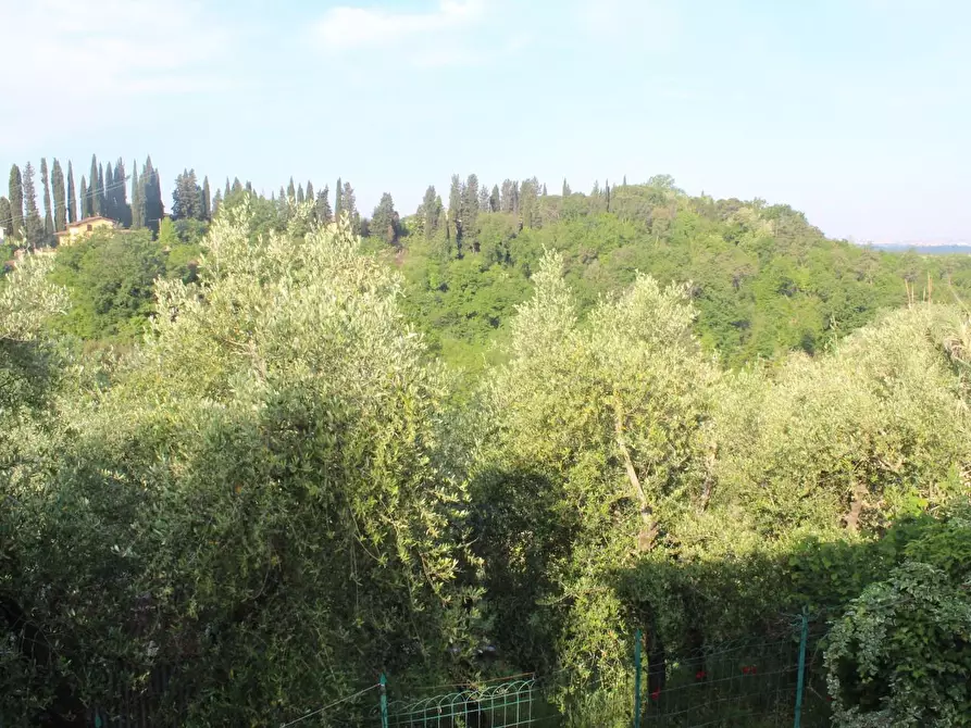 Immagine 3 di Villa in vendita  a Montopoli In Val D'arno
