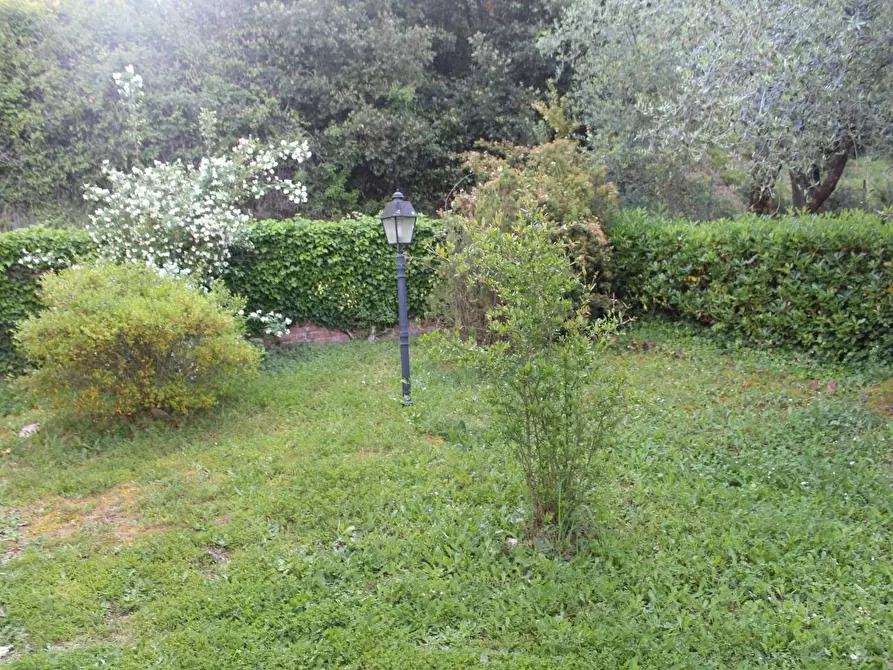 Immagine 4 di Villa in vendita  a Montopoli In Val D'arno