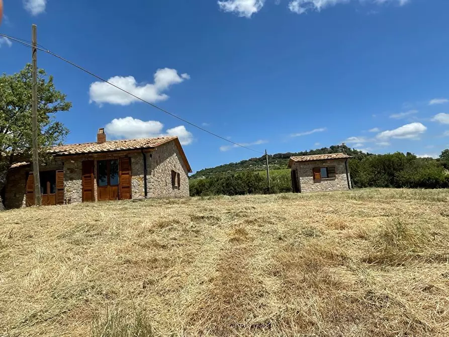 Immagine 10 di Rustico / casale in vendita  a Manciano