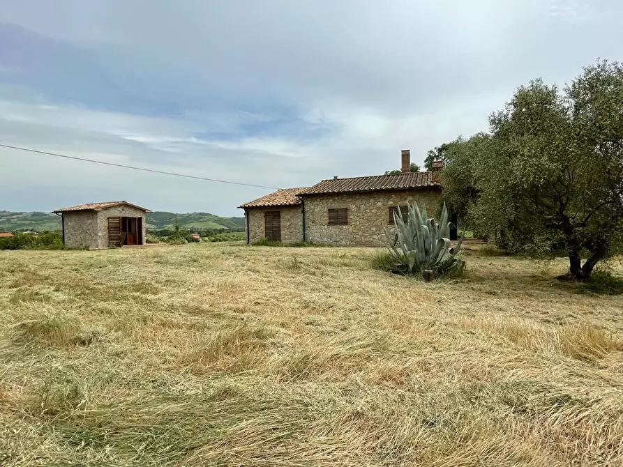 Immagine 23 di Rustico / casale in vendita  a Manciano