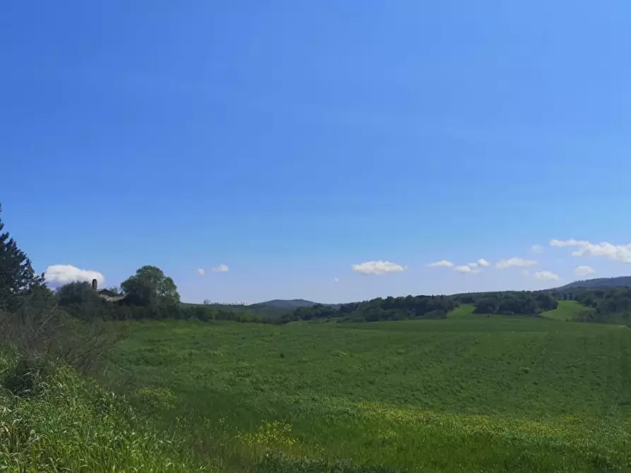 Immagine 26 di Rustico / casale in vendita  a Manciano