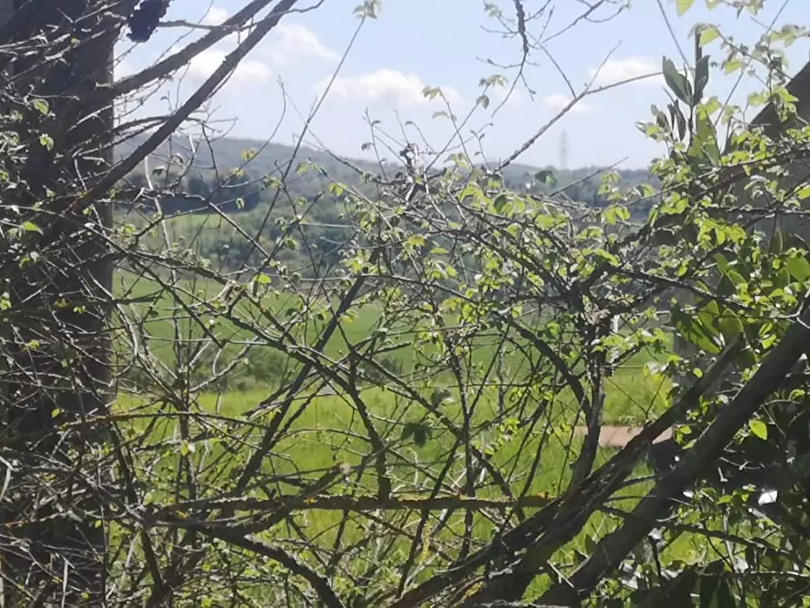 Immagine 27 di Rustico / casale in vendita  a Manciano