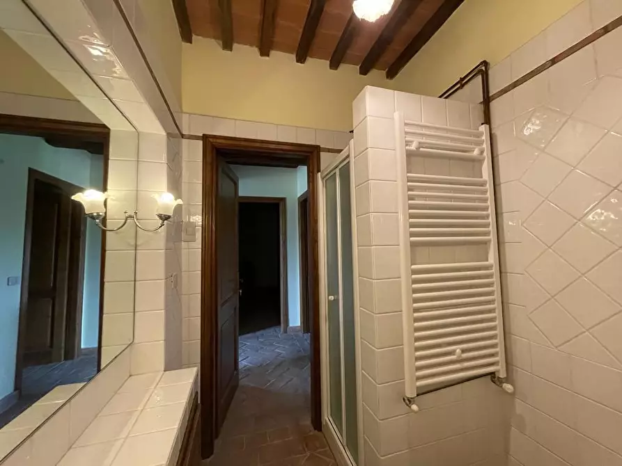 Immagine 17 di Rustico / casale in vendita  a Manciano