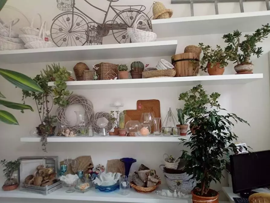 Immagine 2 di Attività commerciale in vendita  a Casciana Terme Lari