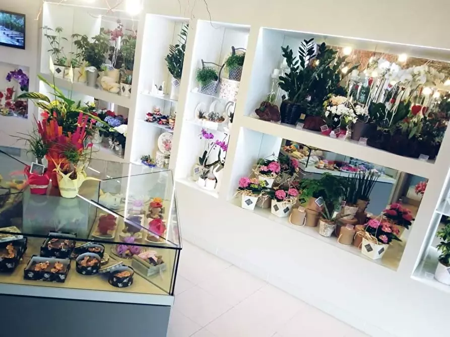 Immagine 7 di Attività commerciale in vendita  a Casciana Terme Lari