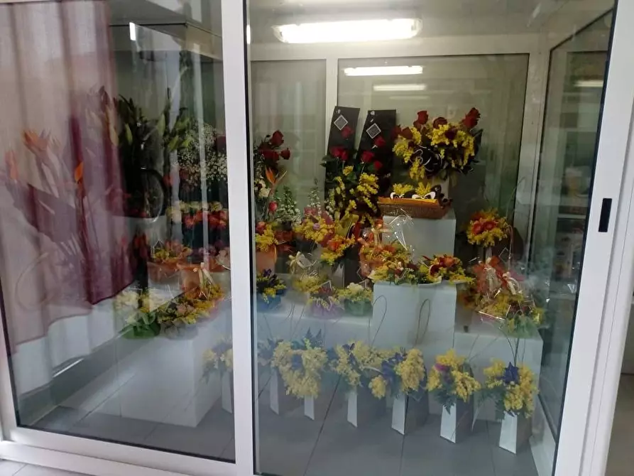 Immagine 4 di Attività commerciale in vendita  a Casciana Terme Lari