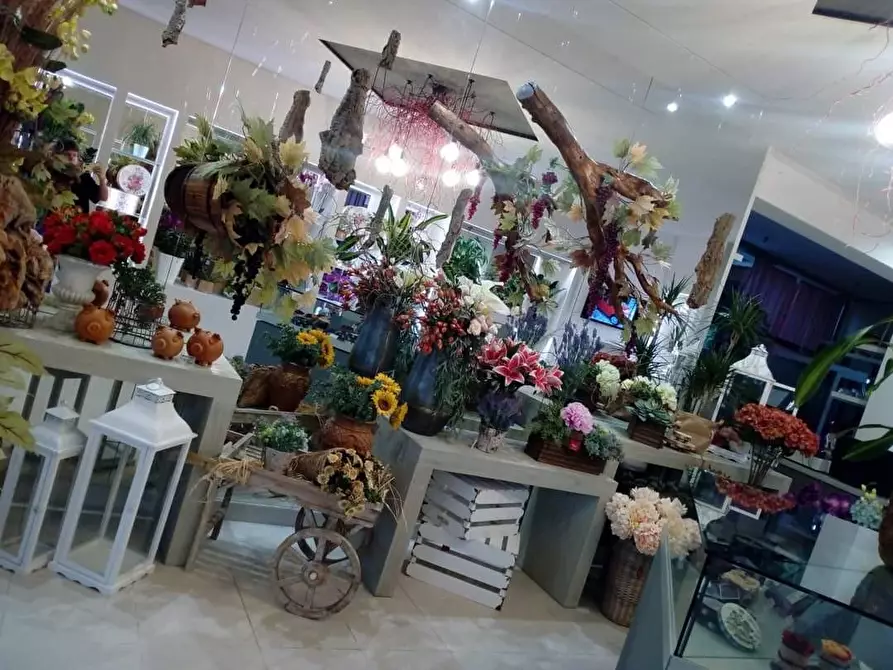 Immagine 5 di Attività commerciale in vendita  a Casciana Terme Lari