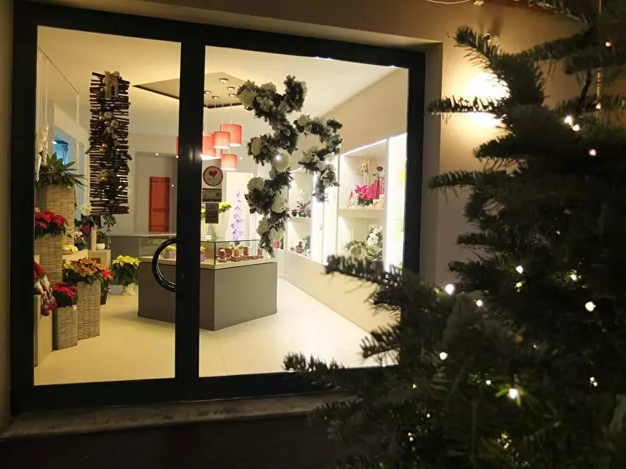 Immagine 3 di Attività commerciale in vendita  a Casciana Terme Lari