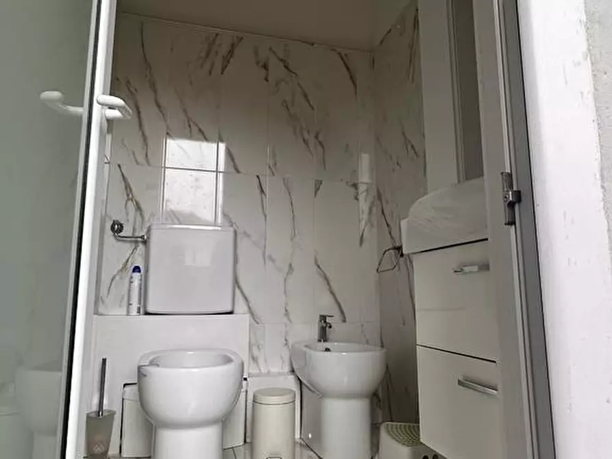 Immagine 9 di Appartamento in affitto  a Pisa