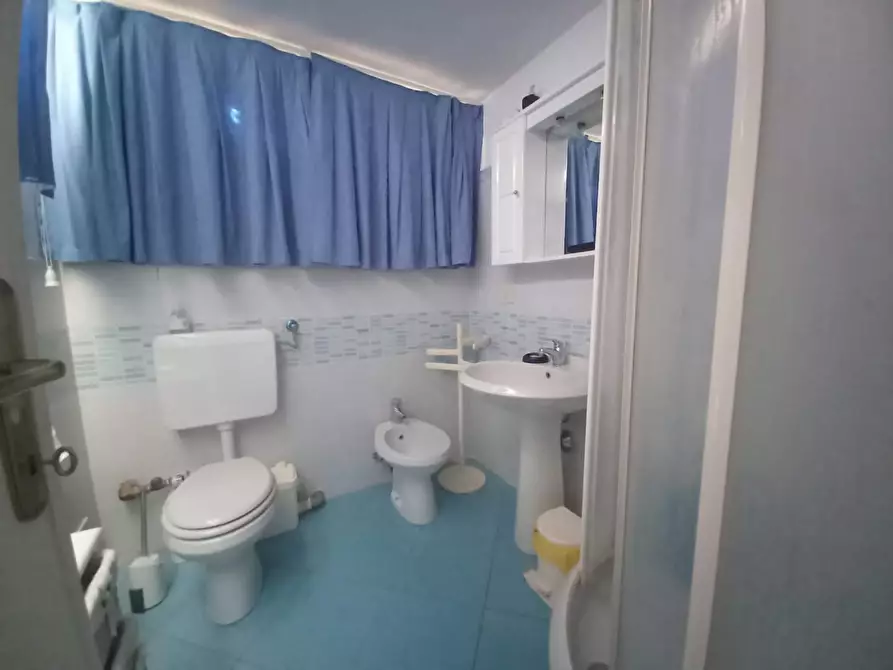 Immagine 24 di Appartamento in affitto  a Camaiore