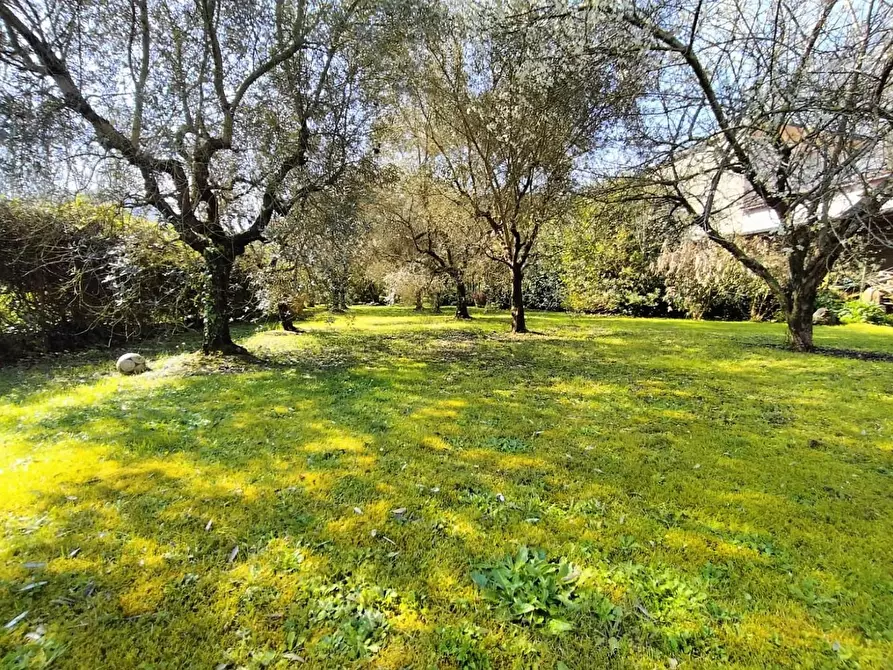 Immagine 29 di Casa semindipendente in vendita  a Lucca