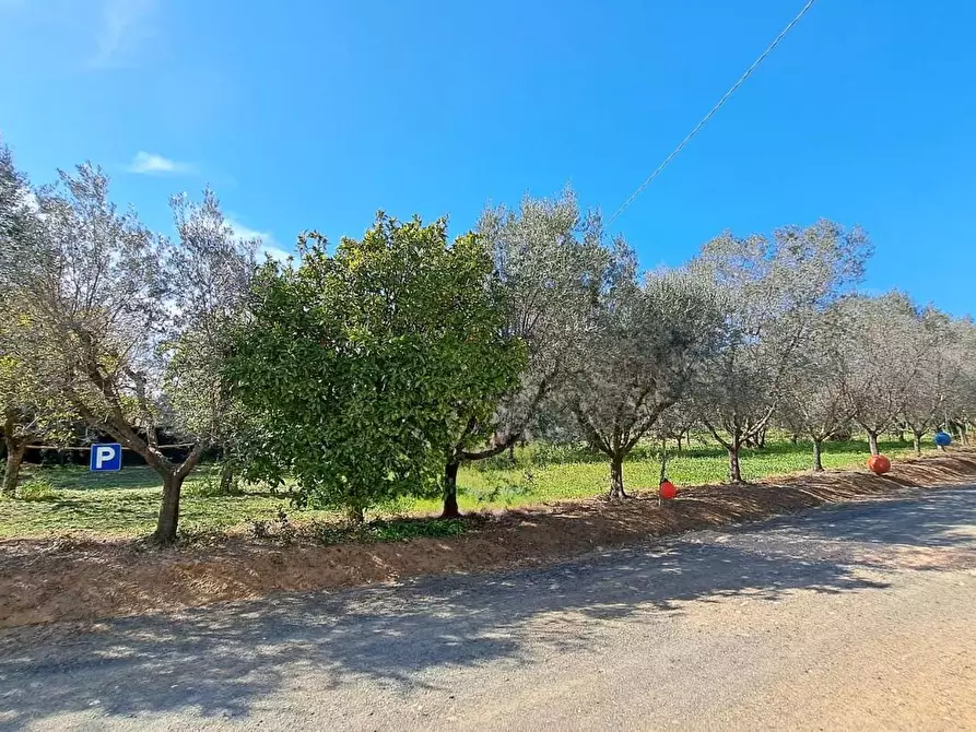 Immagine 5 di Porzione di casa in vendita  a Rosignano Marittimo