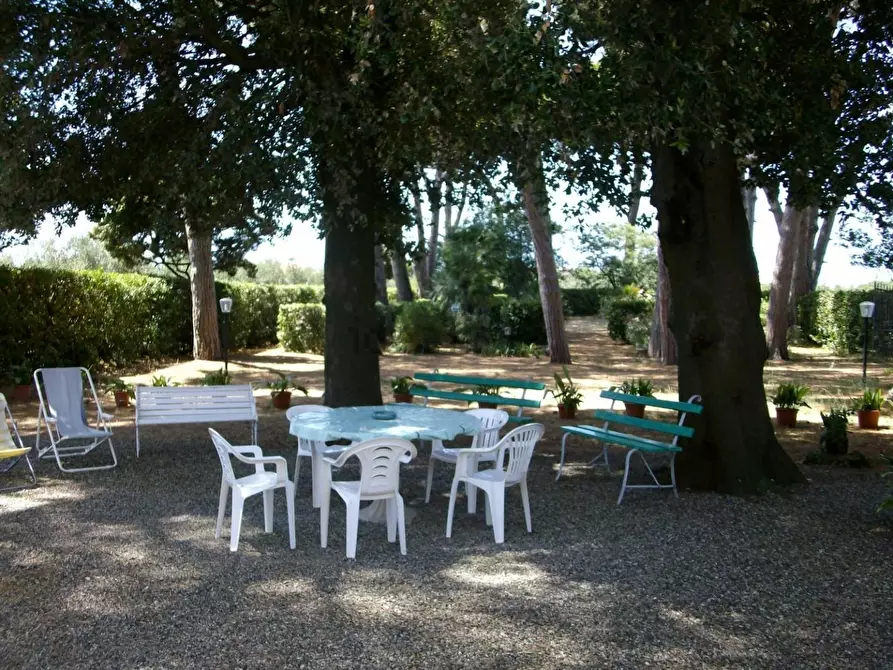 Immagine 2 di Villa in vendita  a Cecina